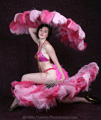 Burlesque Galleries