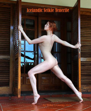 icelandic_selkie