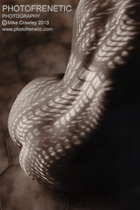 Welcome to Photofrenetic Fine Art Photography. Images of Beautiful Women by Mike Crawley FRPS
